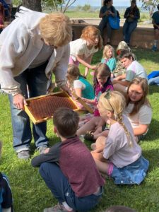 Beekeeper shows children what a full frame of honey looks like.